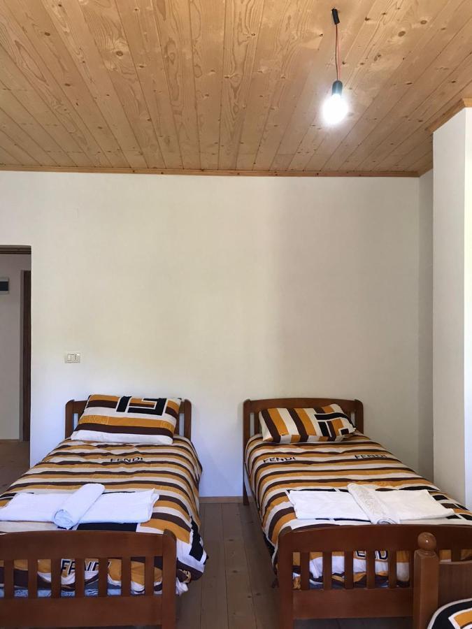 Elvis Blini Thethi Hotel Exterior photo